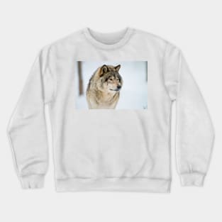 Gray Wolf Crewneck Sweatshirt